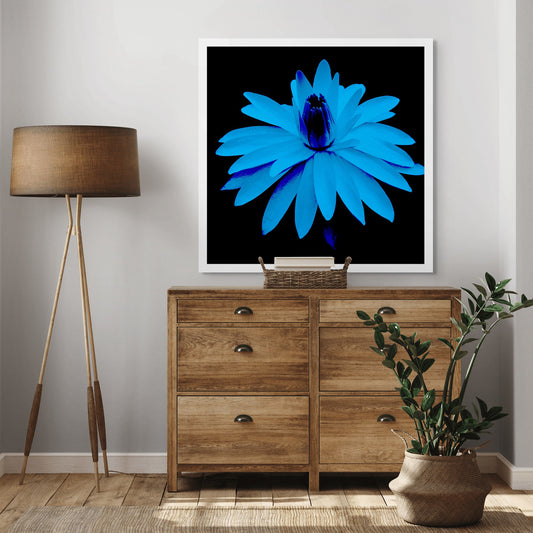 Lily in the Lake -11002bv7 - Room View, Cyan-hued water lily on black background, digitally stylised in a vibrant Pop Art palette with luminous tones and sculptural contrast.