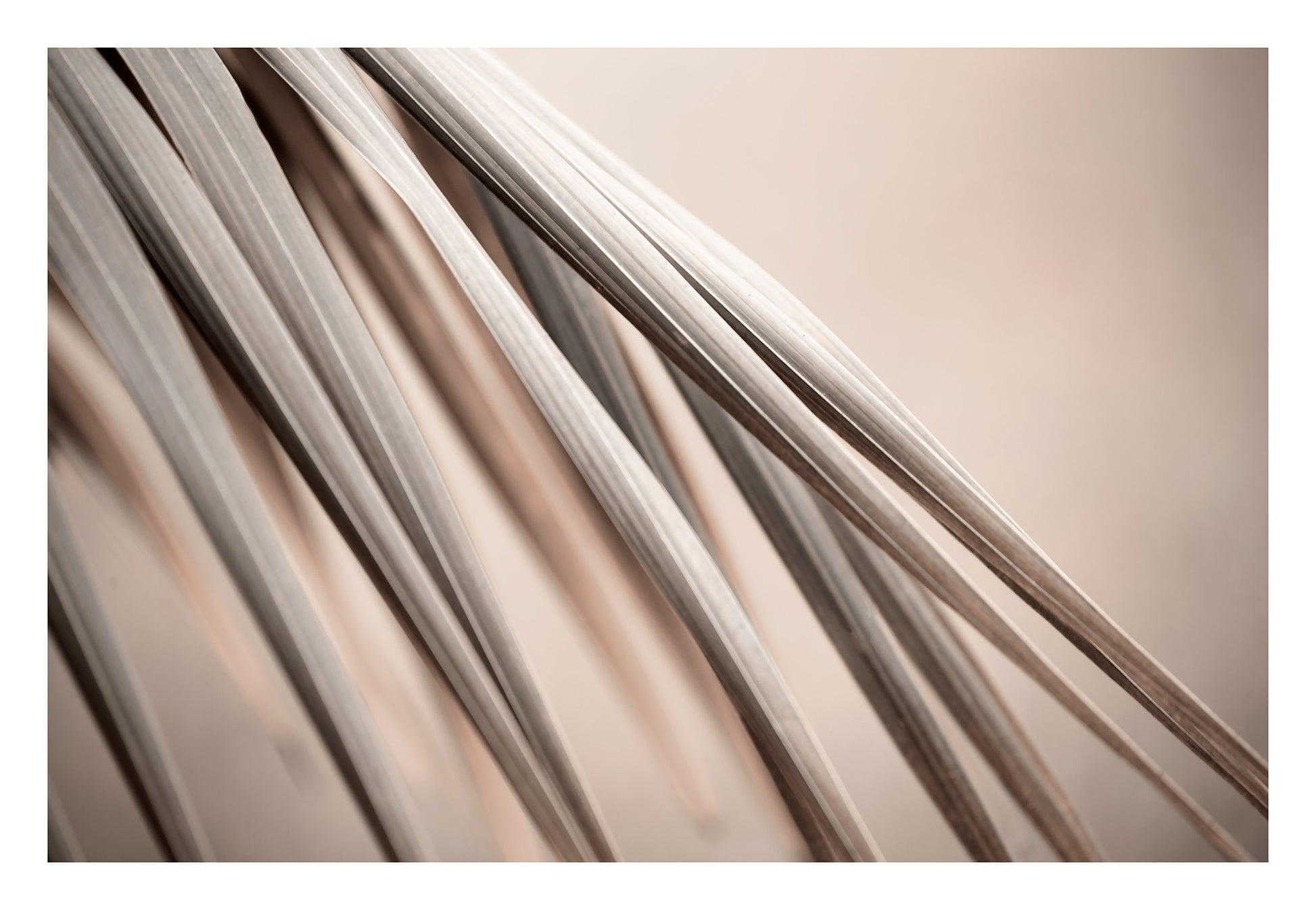 Xtra POP Set - Palm Frond - 190151av21 - 104x74cm, Palm frond artwork in warm beige and stone tones with elegant diagonal lines, evoking calm, earthiness, and subtle sophistication.