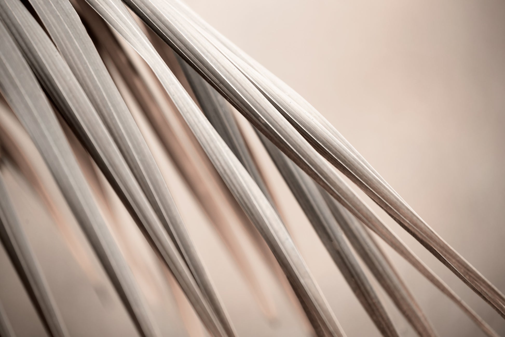 Xtra POP Set - Palm Frond - 190151av21 - 90x60cm, Palm frond artwork in warm beige and stone tones with elegant diagonal lines, evoking calm, earthiness, and subtle sophistication.