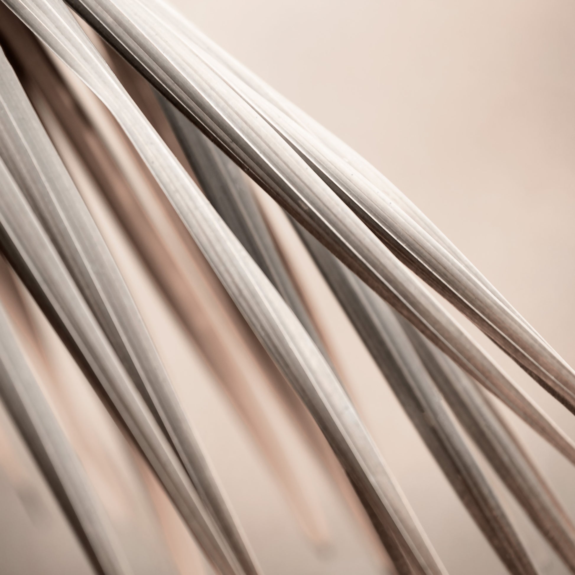 Xtra POP Set - Palm Frond - 190151av21 - Close Detail View, Palm frond artwork in warm beige and stone tones with elegant diagonal lines, evoking calm, earthiness, and subtle sophistication.