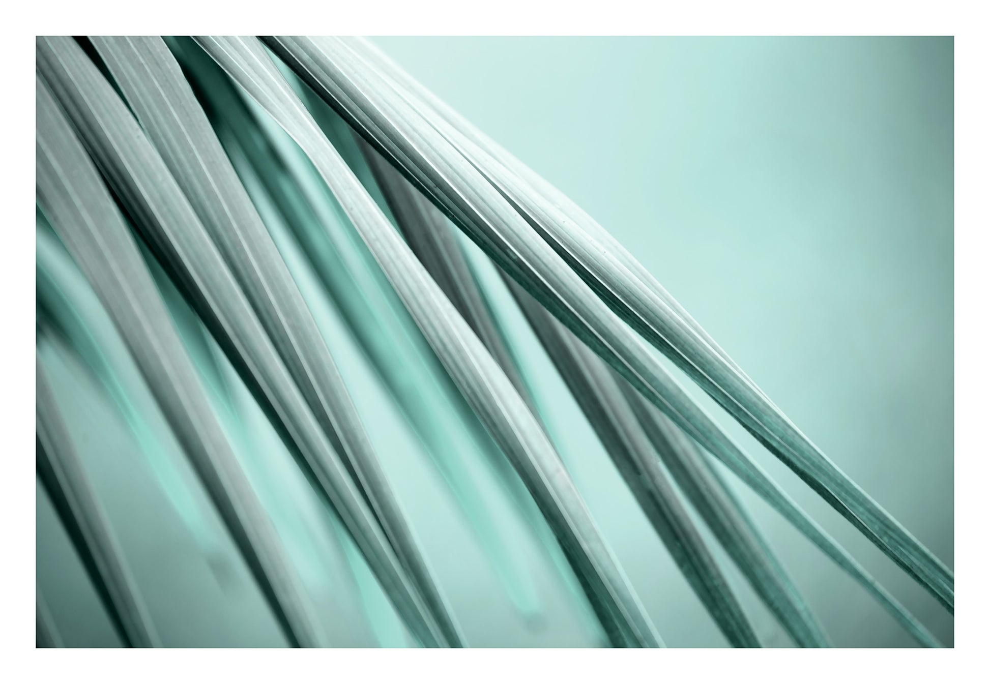 Xtra POP Set - Palm Frond - 190151av23 - 104x74cm, Palm frond artwork in soft jade and seafoam tones, featuring fluid diagonal lines and a serene, minimal composition.