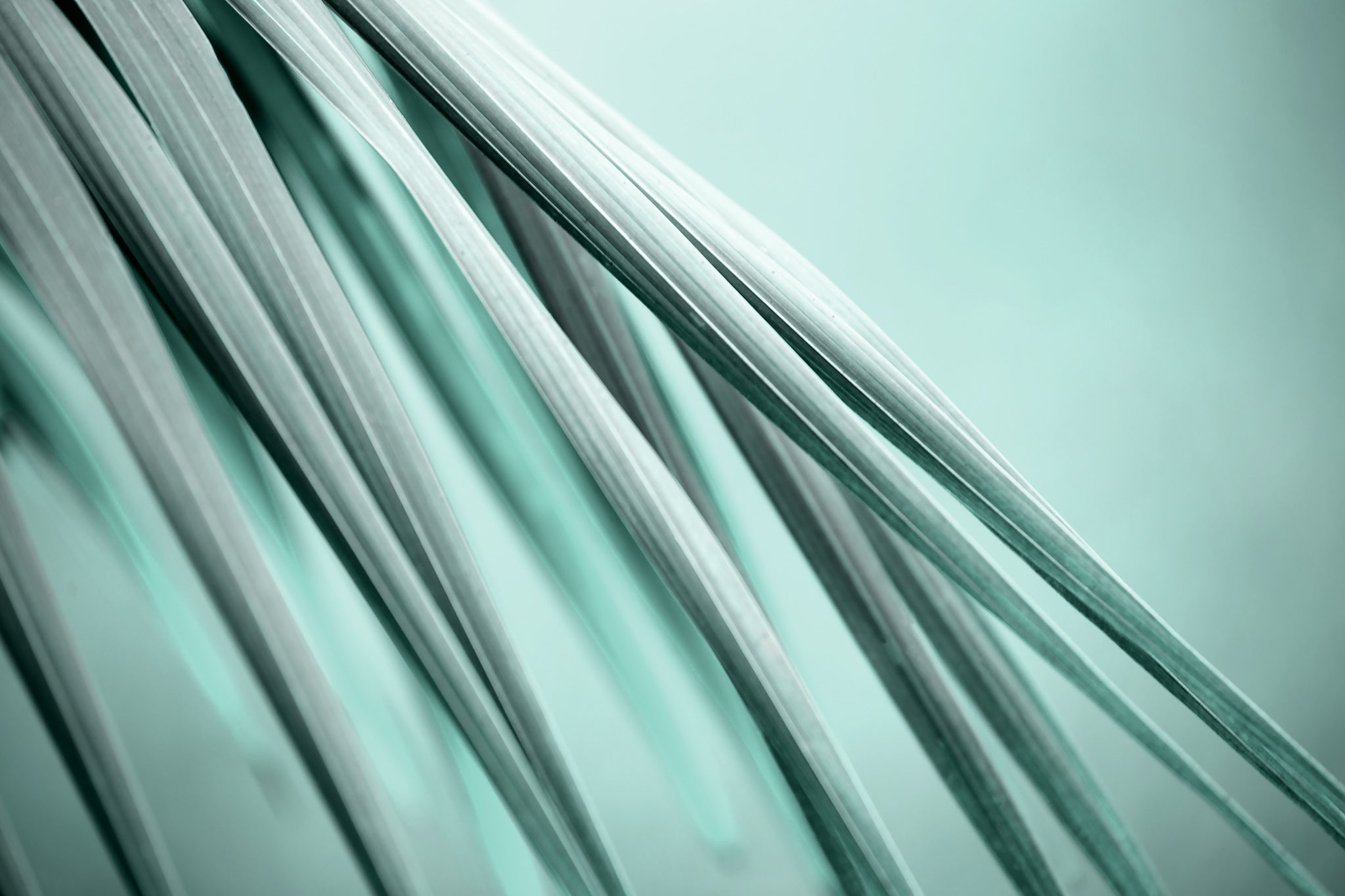 Xtra POP Set - Palm Frond - 190151av23 - 90x60cm, Palm frond artwork in soft jade and seafoam tones, featuring fluid diagonal lines and a serene, minimal composition.