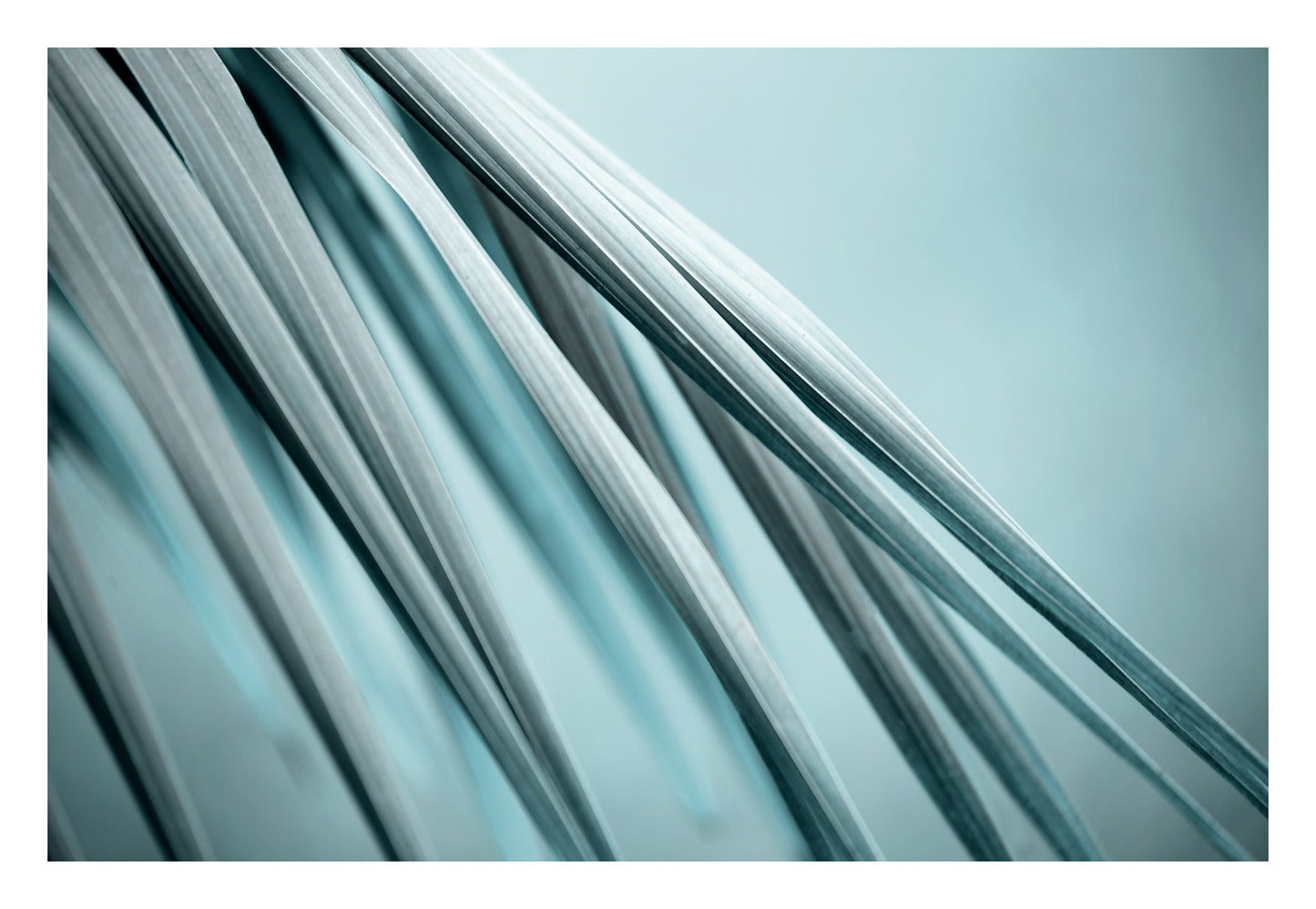 Xtra POP Set - Palm Frond - 190151av24 - 104x74cm, Palm frond artwork in soft blue-grey tones with fluid diagonal lines, evoking calm, clarity, and minimalist elegance.