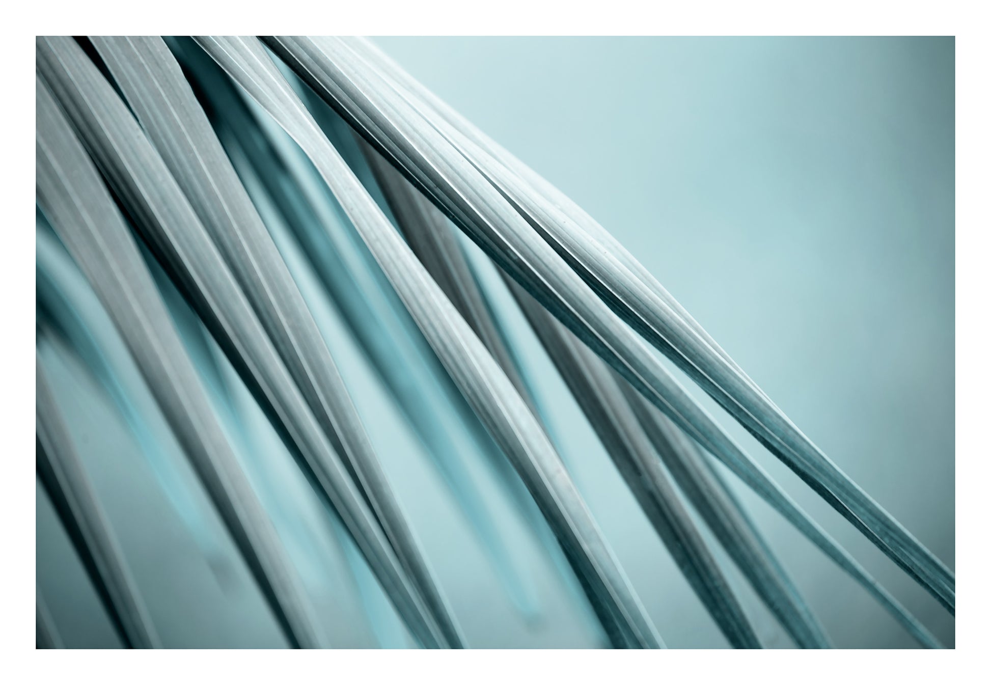 Xtra POP Set - Palm Frond - 190151av24 - 104x74cm, Palm frond artwork in soft blue-grey tones with fluid diagonal lines, evoking calm, clarity, and minimalist elegance.
