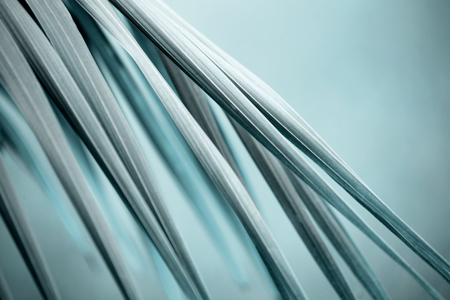 Xtra POP Set - Palm Frond - 190151av24 - 90x60cm, Palm frond artwork in soft blue-grey tones with fluid diagonal lines, evoking calm, clarity, and minimalist elegance.