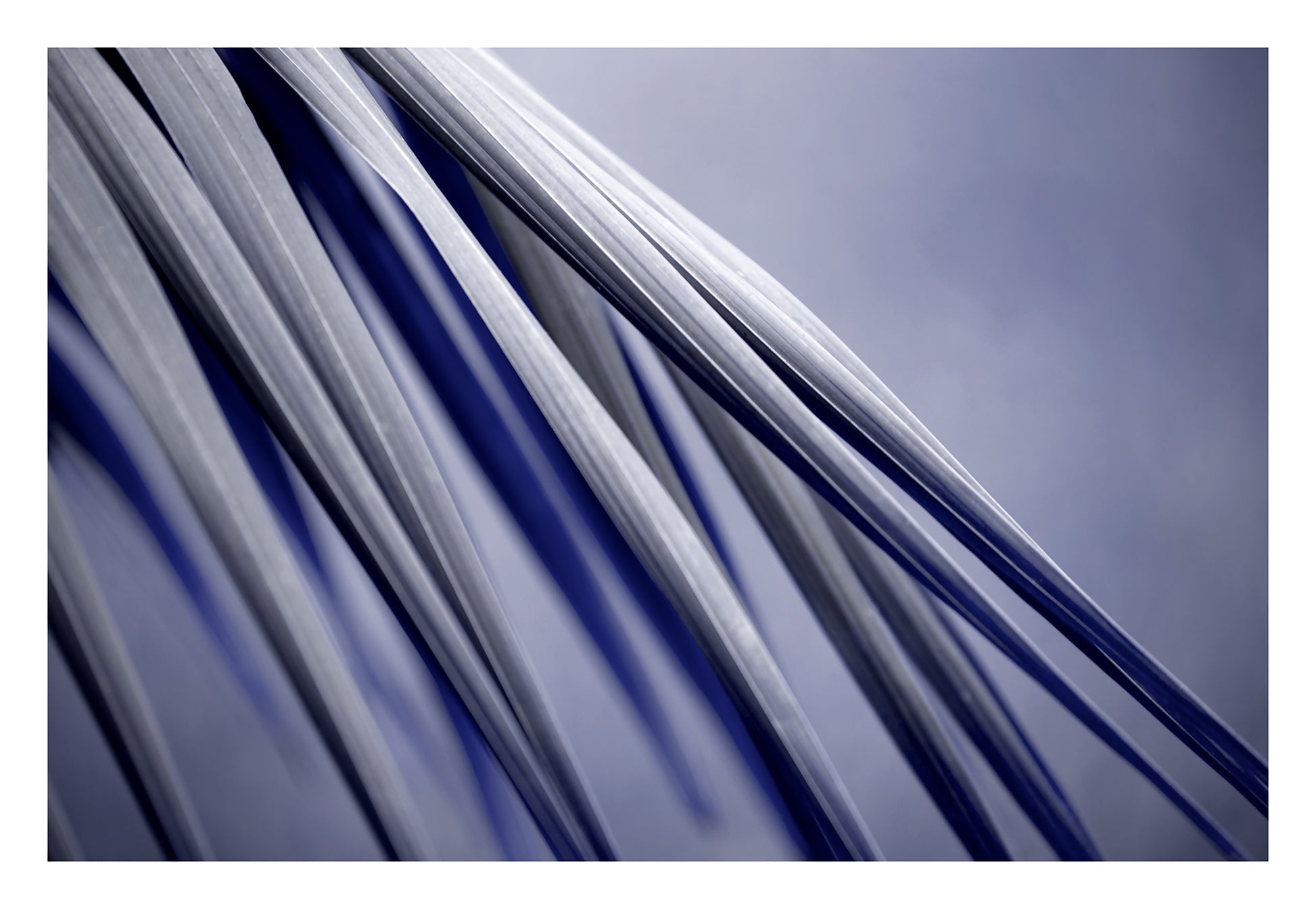 Xtra POP Set - Palm Frond - 190151av26 - 104x74cm, Abstract palm frond artwork in slate grey and deep cobalt blue, with crisp diagonal lines and bold shadowed movement.