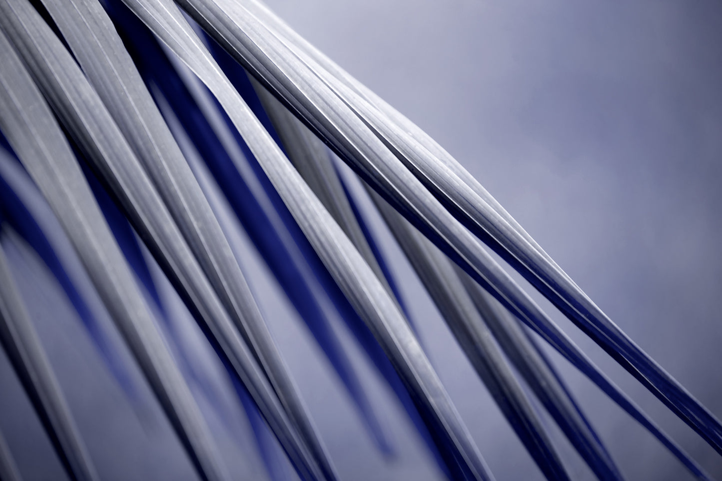 Xtra POP Set - Palm Frond - 190151av26 - 90x60cm, Abstract palm frond artwork in slate grey and deep cobalt blue, with crisp diagonal lines and bold shadowed movement.