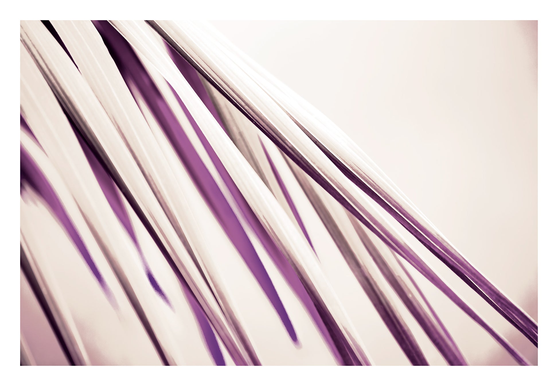 Xtra POP Set - Palm Frond - 190151bv27 - 104x74cm, Palm frond artwork in cream and plum tones, with flowing diagonal lines and a soft, abstract elegance.