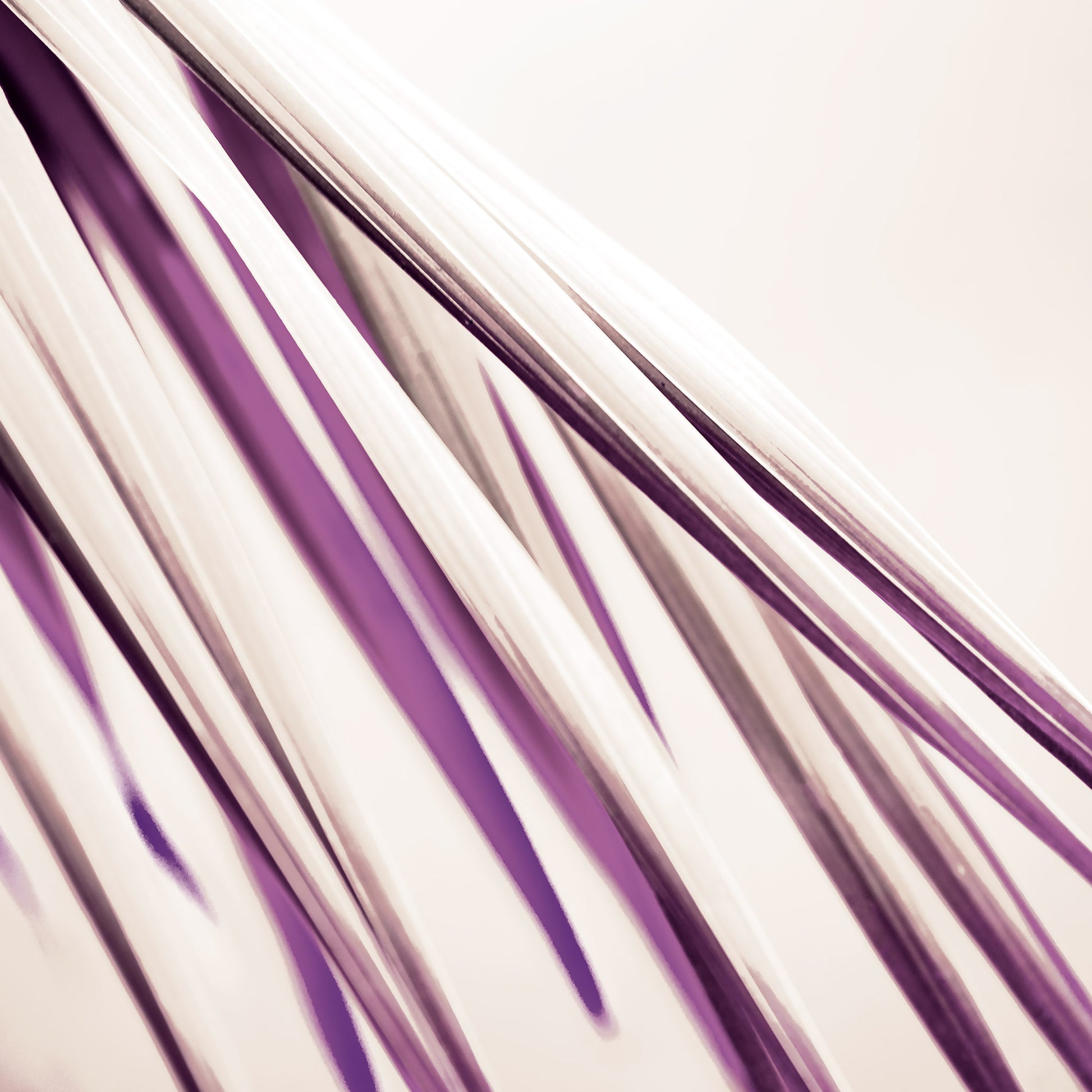 Xtra POP Set - Palm Frond - 190151bv27 - Close Detail View, Palm frond artwork in cream and plum tones, with flowing diagonal lines and a soft, abstract elegance.