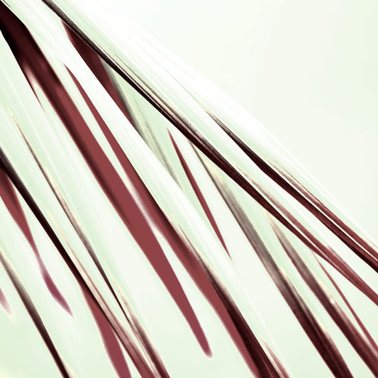 Xtra POP Set - Palm Frond - 190151bv28 - Close Detail View, Palm frond artwork in mint green and deep burgundy tones, with a bold graphic contrast and flowing diagonal movement.
