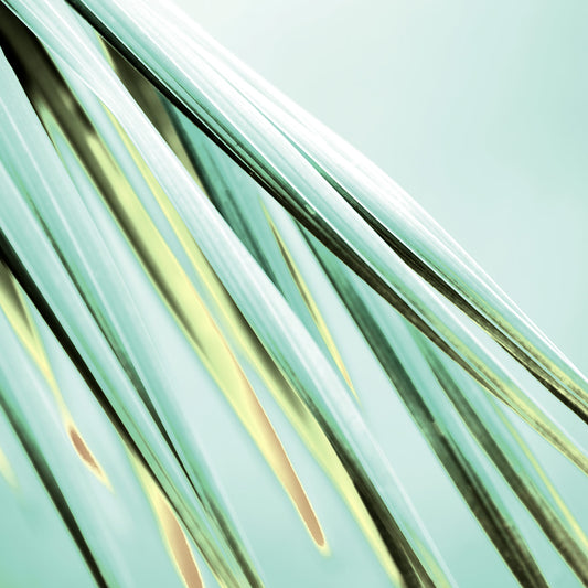 Xtra POP Set - Palm Frond - 190151bv29 - Close Detail View, Diagonal palm fronds in soft teal and citrus tones against a pale green background, evoking crisp elegance and botanical calm.