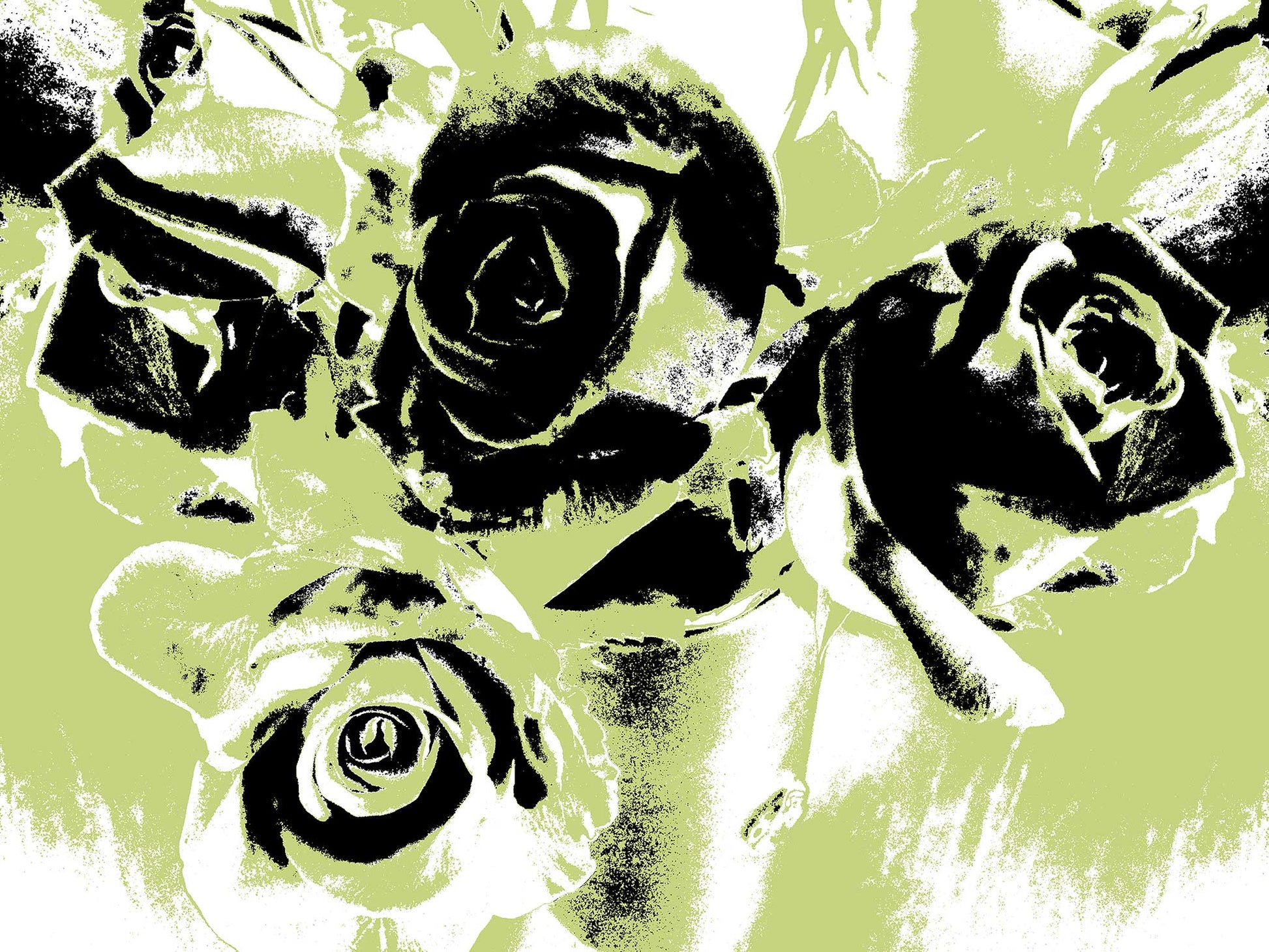 Xtra POP Set - Roses - Vase - 153339v52 - 90x67.5cm, Stylised lime green and black roses in a vase with bold contrast, limited edition fine art print.