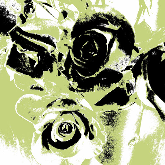 Xtra POP Set - Roses - Vase - 153339v52 - Close Detail View, Stylised lime green and black roses in a vase with bold contrast, limited edition fine art print.