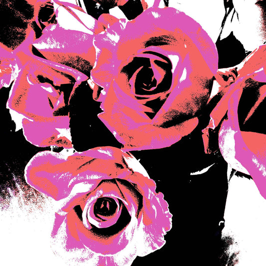 Xtra POP Set - Roses - Vase - 153339v53 - Close Detail View, Vibrant pink and red stylised roses in a black and white vase composition, limited edition fine art print.