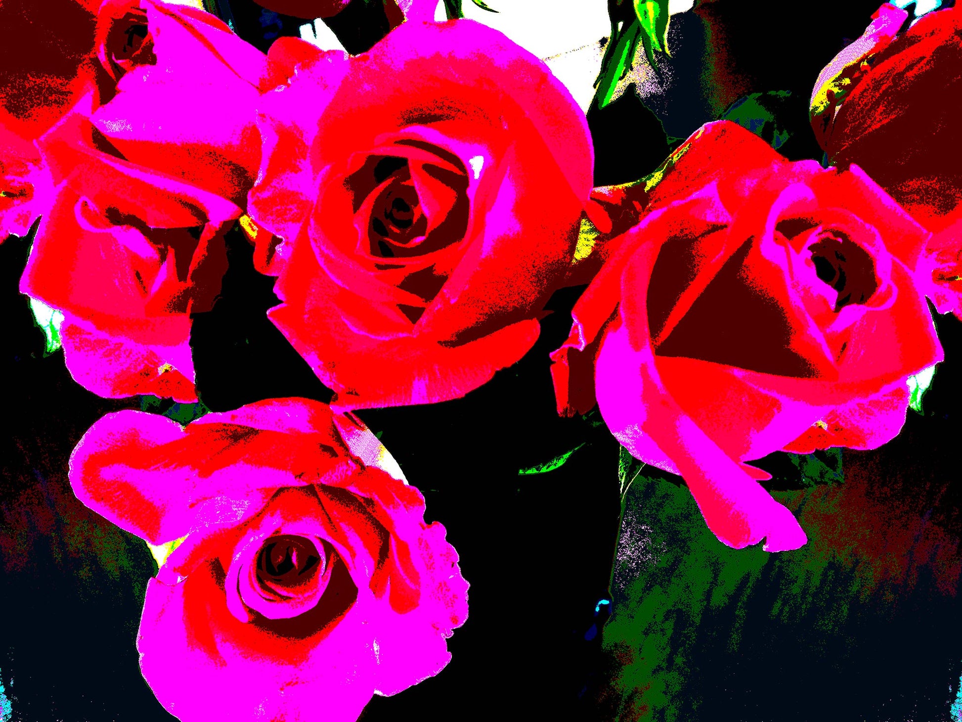 Xtra POP Set - Roses - Vase - 153339v68 - 90x67.5cm, Bright red and hot pink roses with dramatic dark background, limited edition fine art print.